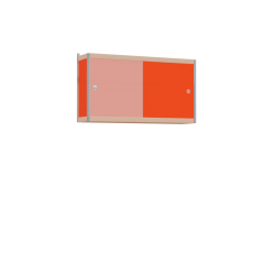 Kast (55x100x25 cm)