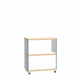 Cabinet (95x80x42 cm)