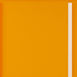 Large door Orange...