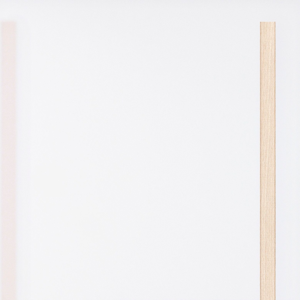 [K8-I[030]] Large door Polar Translucent Acrylic (98 cm, 80 cm, 1 (inside door), Wooden slats)