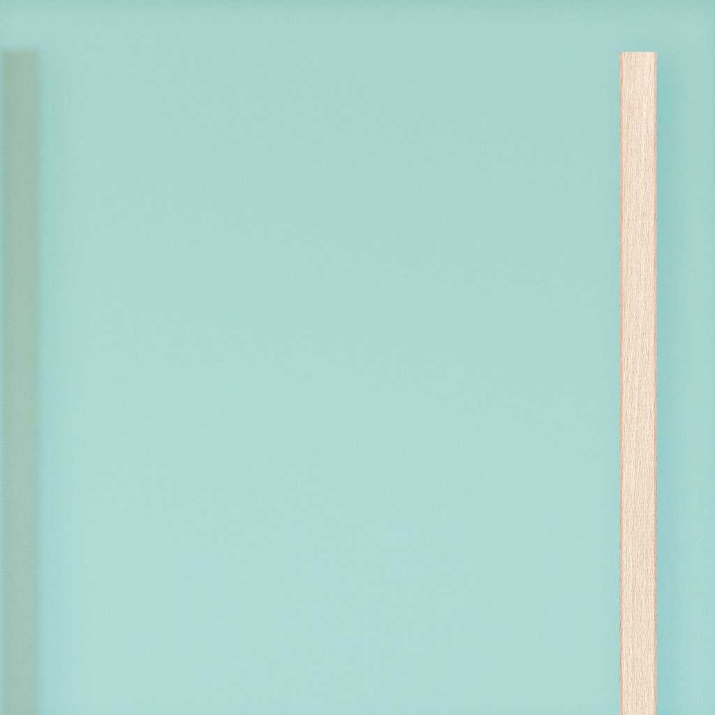 [K8-I[6T21]] Large door Glass Look Translucent Acrylic (98 cm, 80 cm, 1 (inside door), Wooden slats)