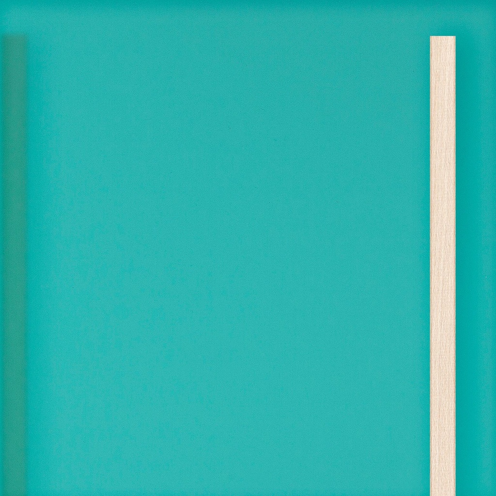 [K8-I[6T93]] Grote deur in doorschijnend acryl Turkoois (98 cm, 80 cm, 1 (binnendeur), Houten latten)
