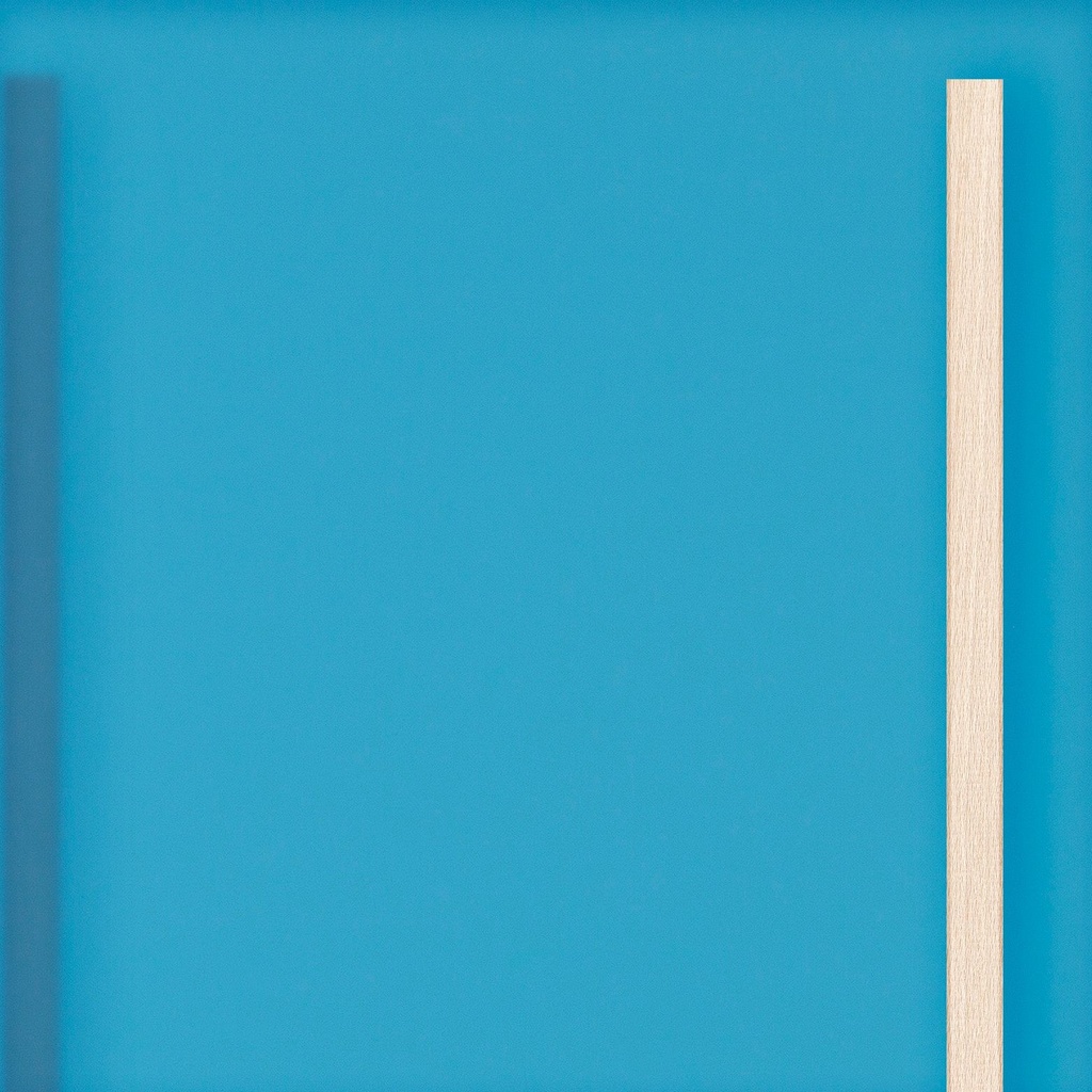 [K8-I[7T1D]] Grote deur in doorschijnend acryl Water (98 cm, 80 cm, 1 (binnendeur), Houten latten)