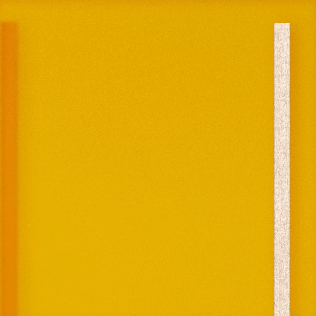 [K8-I[2T53]] Grande porte Acrylique Translucide Mimosa (98 cm, 80 cm, 1 (porte intérieure), Lattes en bois)