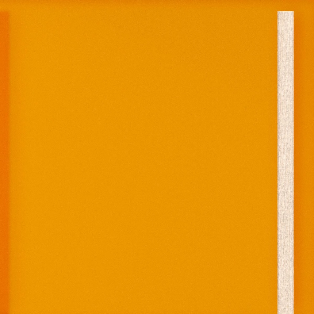 [K8-I[2T41]] Large door Orange Translucent Acrylic (98 cm, 80 cm, 1 (inside door), Wooden slats)