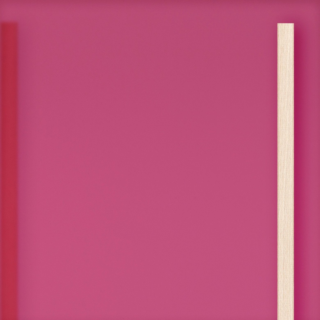 [K8-I[4T97]] Grote deur in doorschijnend acryl Framboos (98 cm, 80 cm, 1 (binnendeur), Houten latten)