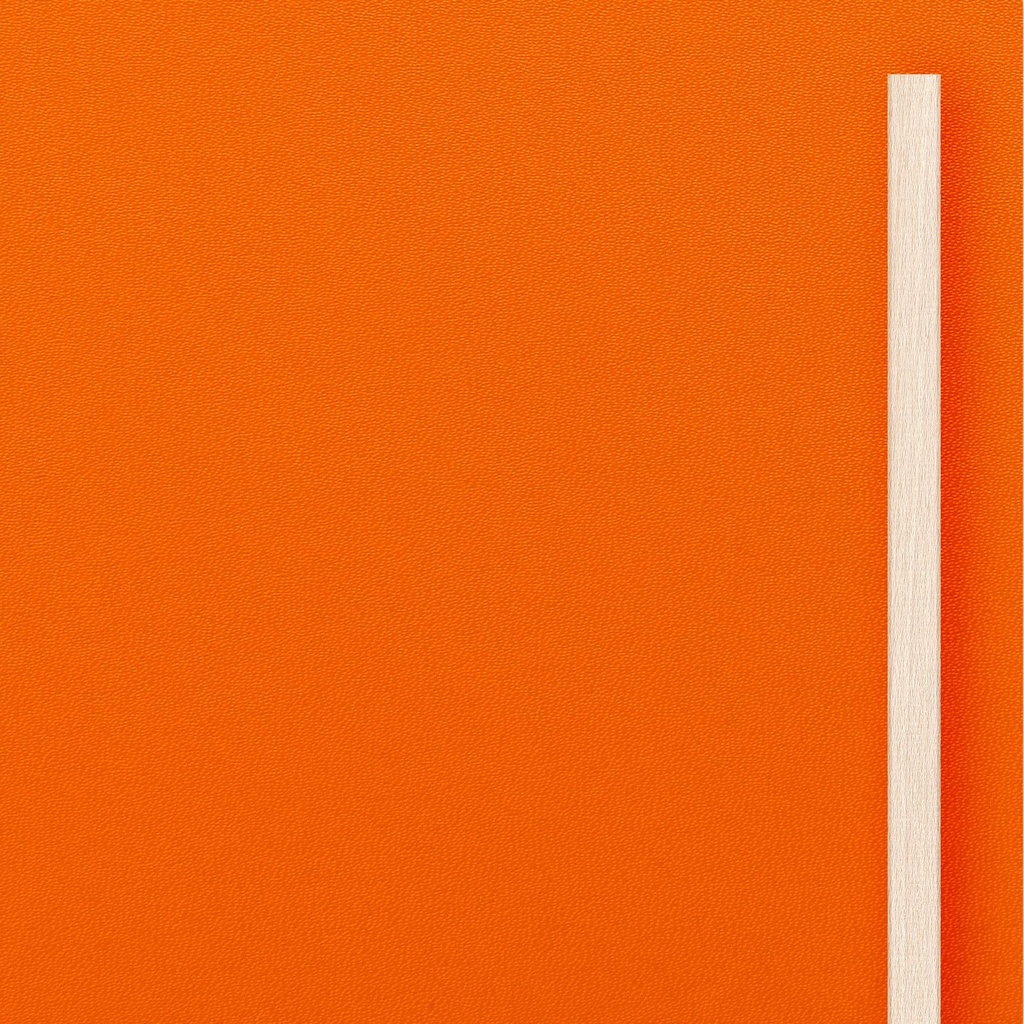 [K8-I[U4004]] Grote deur in MDF Tangerine (98 cm, 80 cm, 1 (binnendeur), Houten latten)