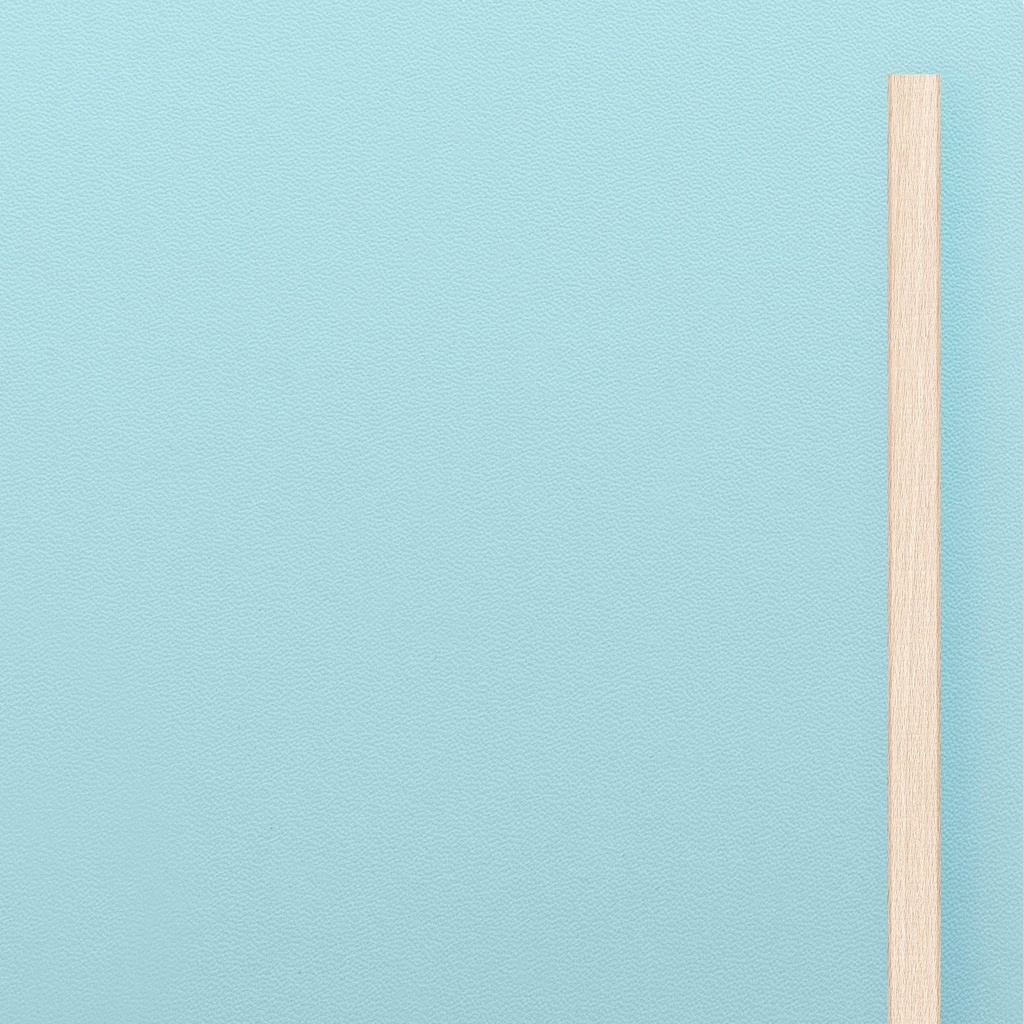 [K8-I[U535]] Grande porte MDF Bleu Clair (98 cm, 80 cm, 1 (porte intérieure), Lattes en bois)