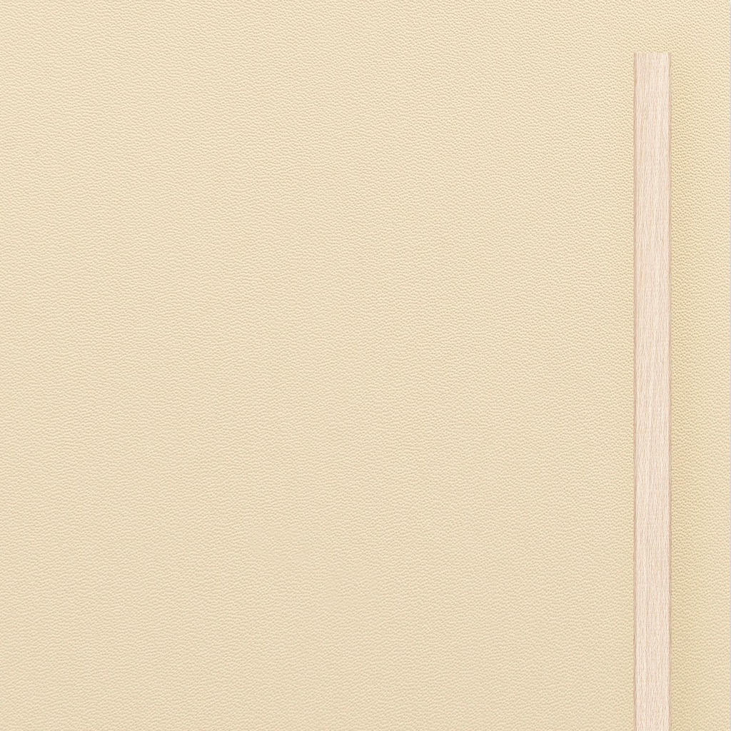 [K8-I[U4018]] Grote deur in MDF Crème (98 cm, 80 cm, 1 (binnendeur), Houten latten)