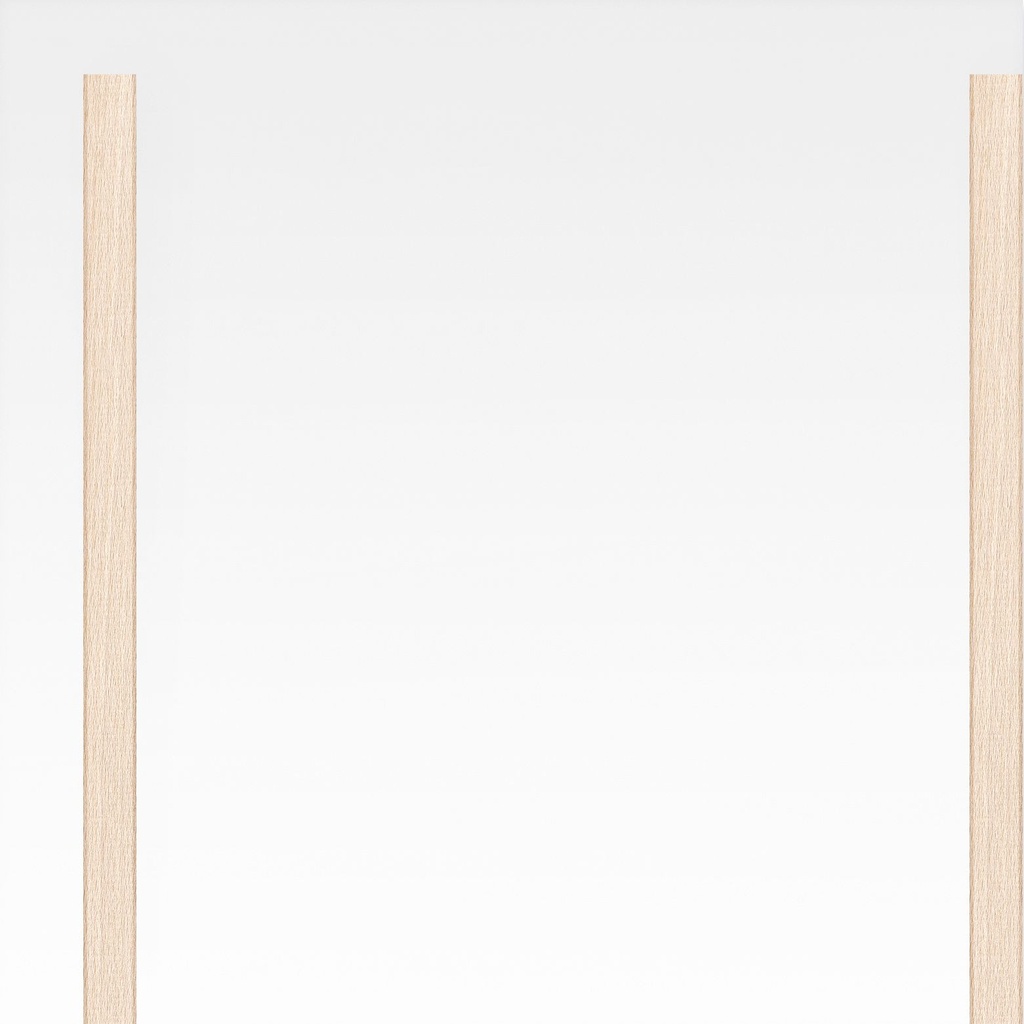 Large door Mirror