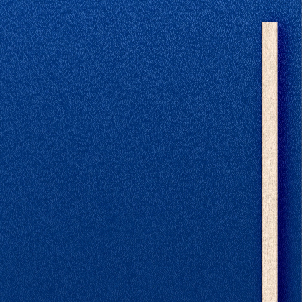 [K8-I[U4017]] Grande porte MDF Bleu (98 cm, 80 cm, 1 (porte intérieure), Lattes en bois)