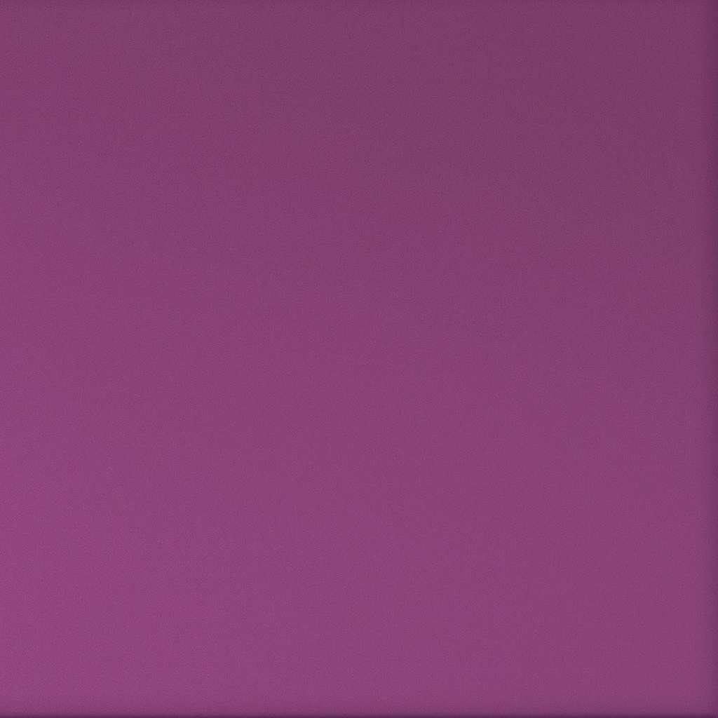 [JV[8T15]] Dos en acrylique translucide Prune (10 cm, 25 cm)