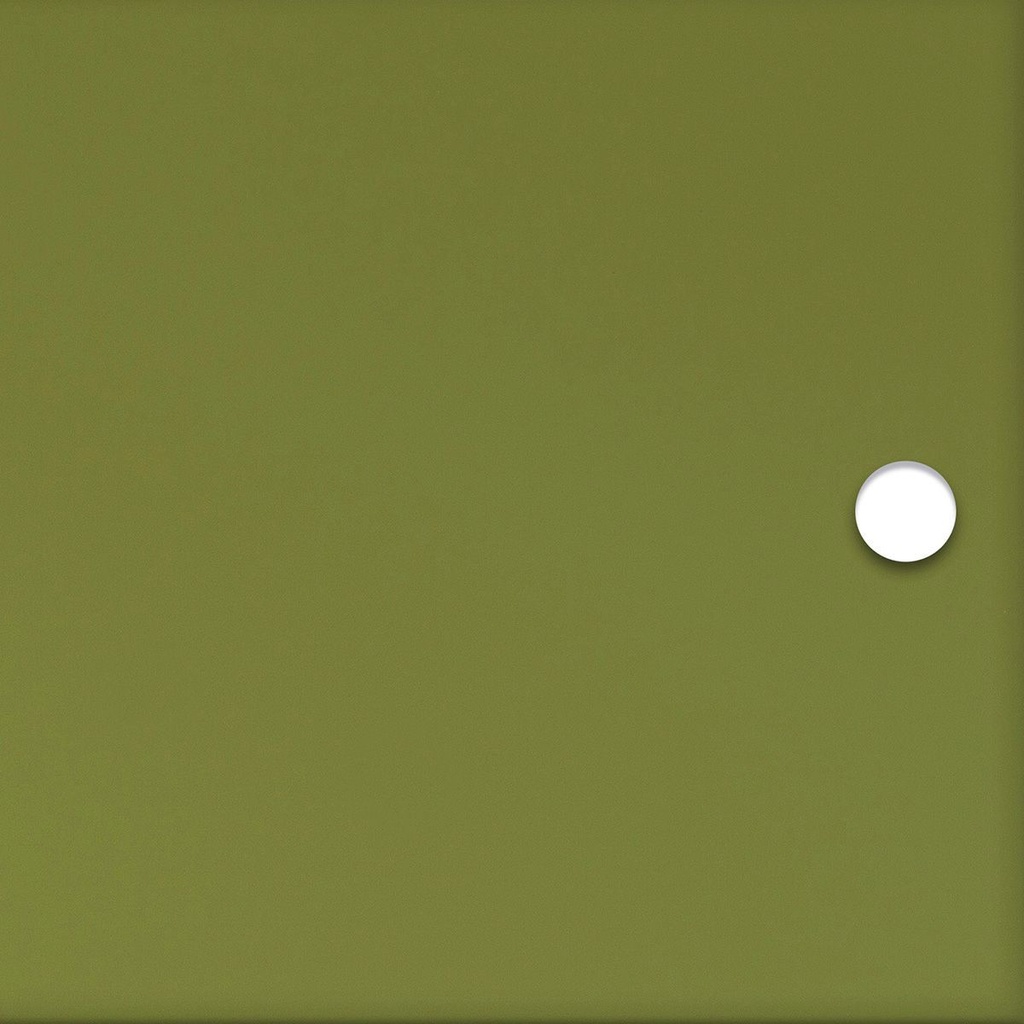 [A6[6T9A]] Olive translucent acrylic door (27 cm, 62 cm, 38mm for cap)