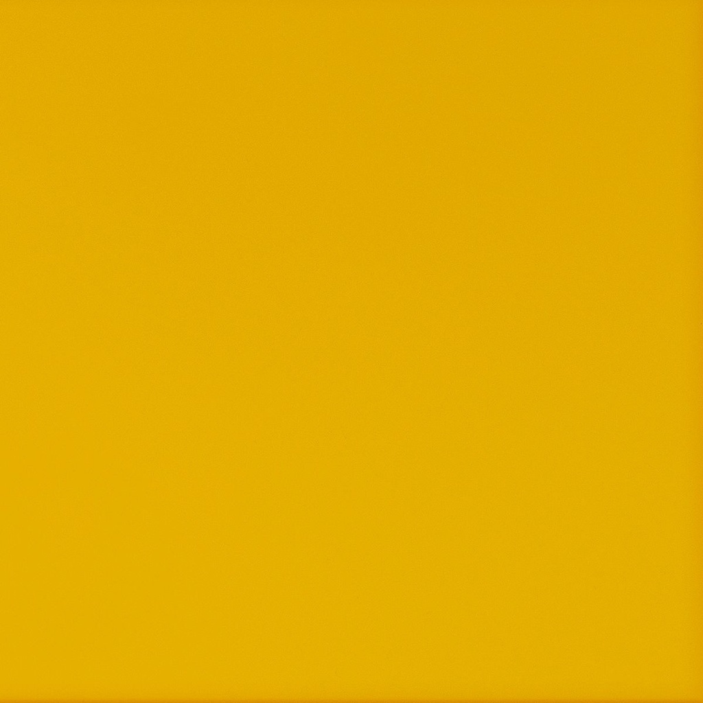 [JV[2T53]#2] Côté en acrylique translucide Mimosa (10 cm, 25 cm)